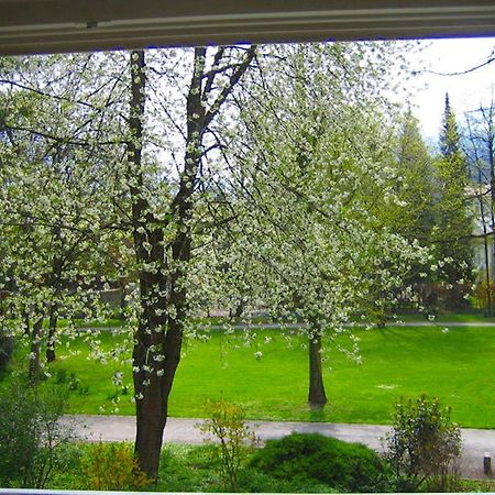 Ferienwohnung Am Ortenaupark 巴特莱辛哈尔 外观 照片